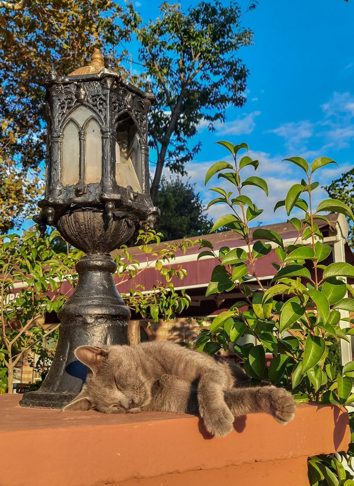 Photograph by Ирина Тынянкина