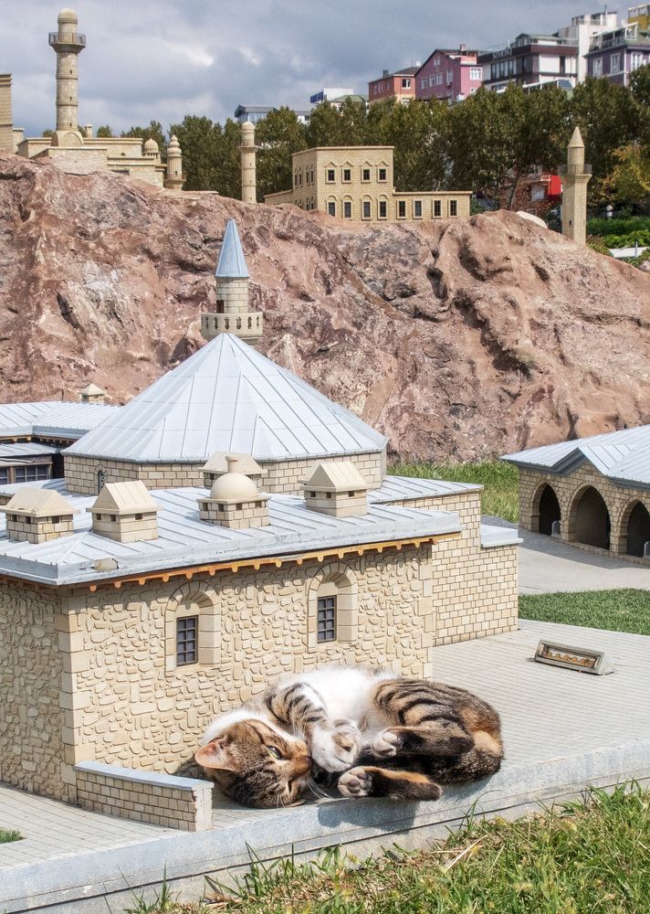 Photograph by Ирина Тынянкина