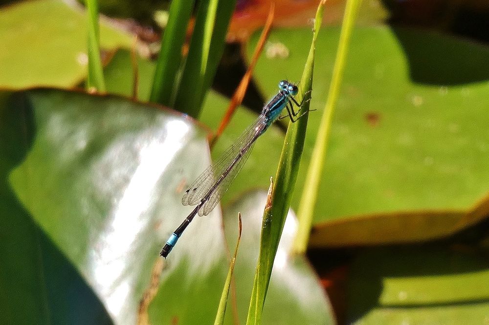 Photograph by backareva irina