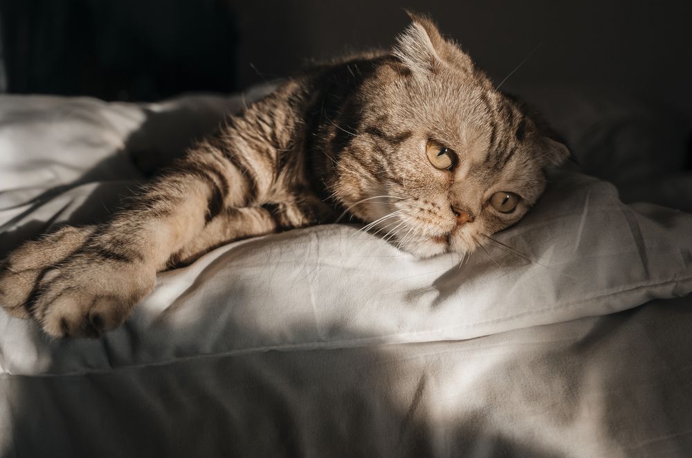 Photograph by Марьям Цимбельман