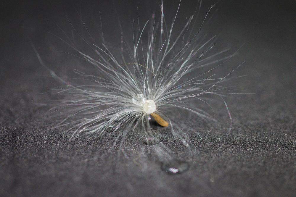 Photograph by Malinda Badenhorst