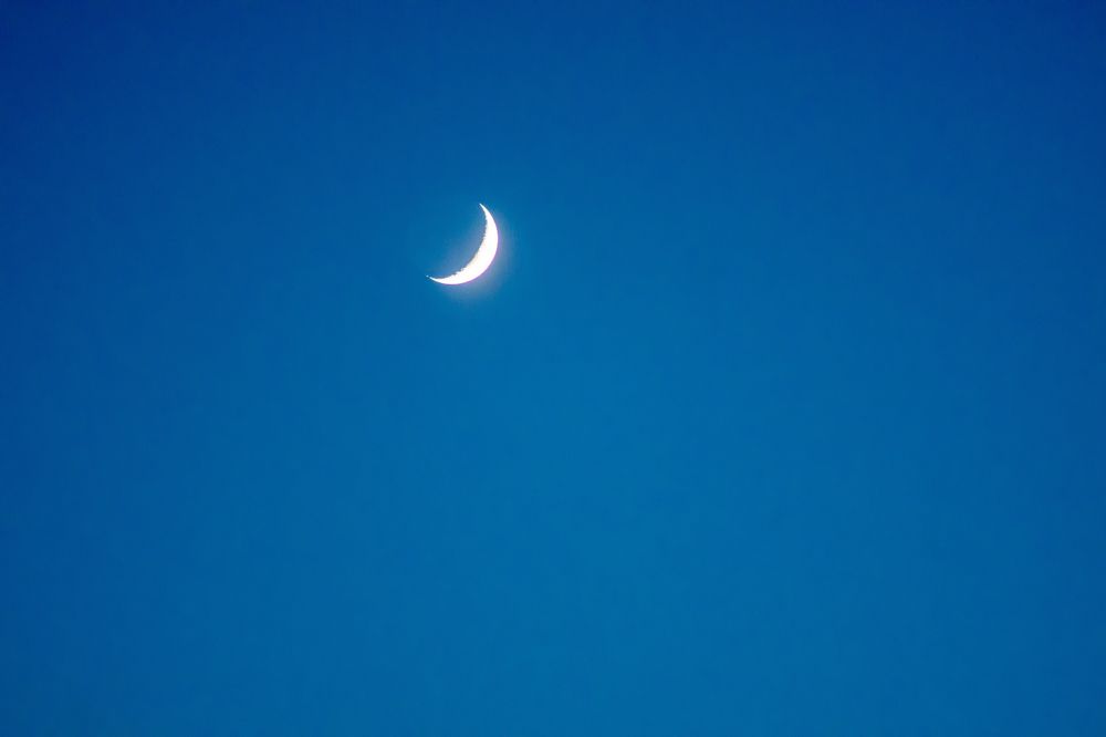 Photograph by Александр Пургин