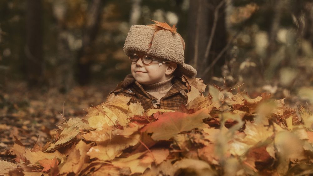 Старый парк