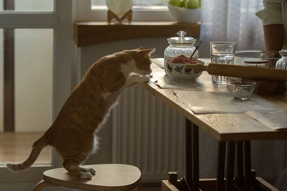 Photograph by Наталья