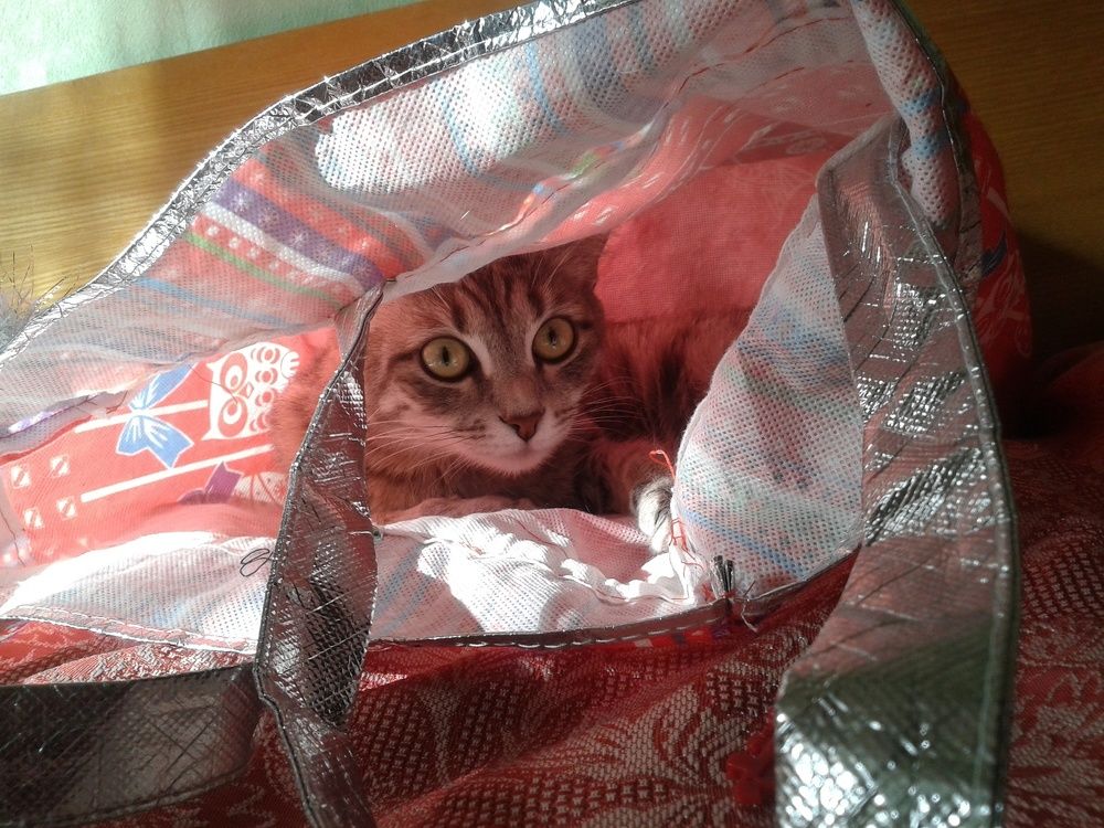 Photograph by Елена Смирнова