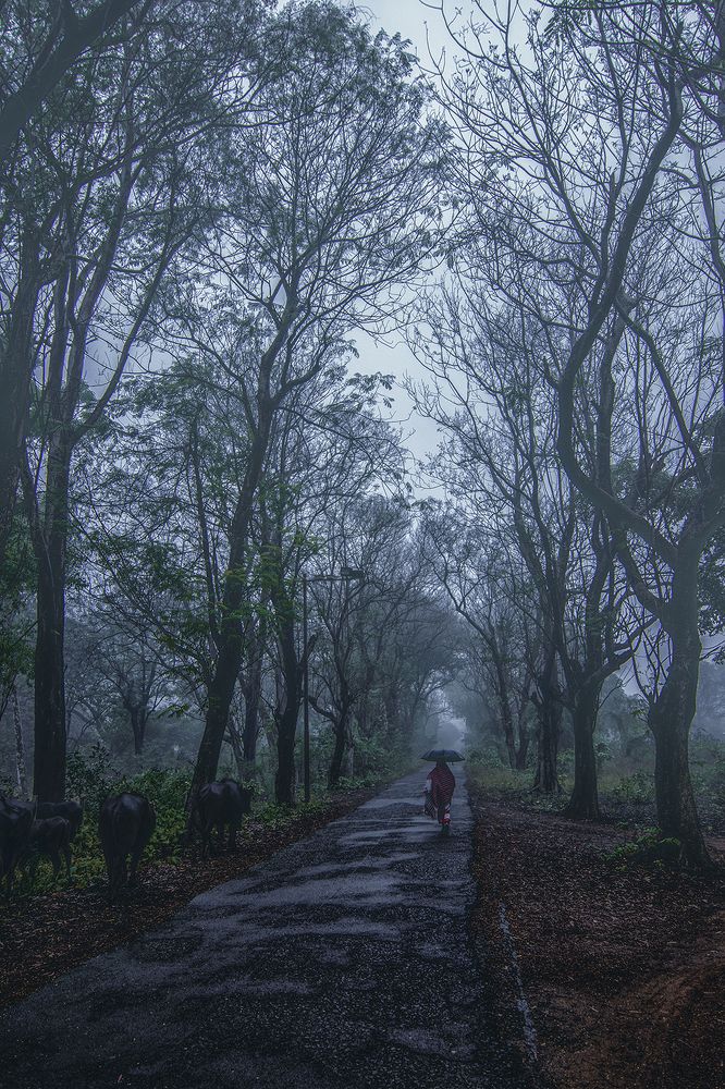 Фотография автора Arijit Mondal