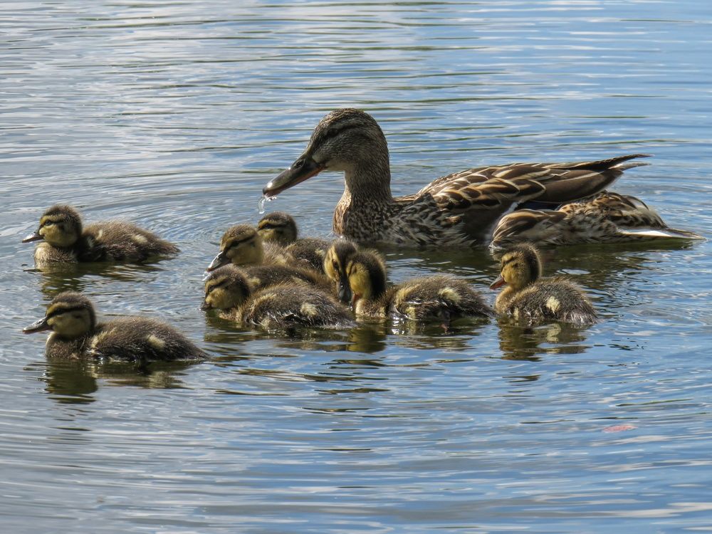 Photograph by Анастасия Романова