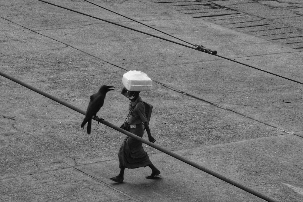 Photograph by Zaw Naing