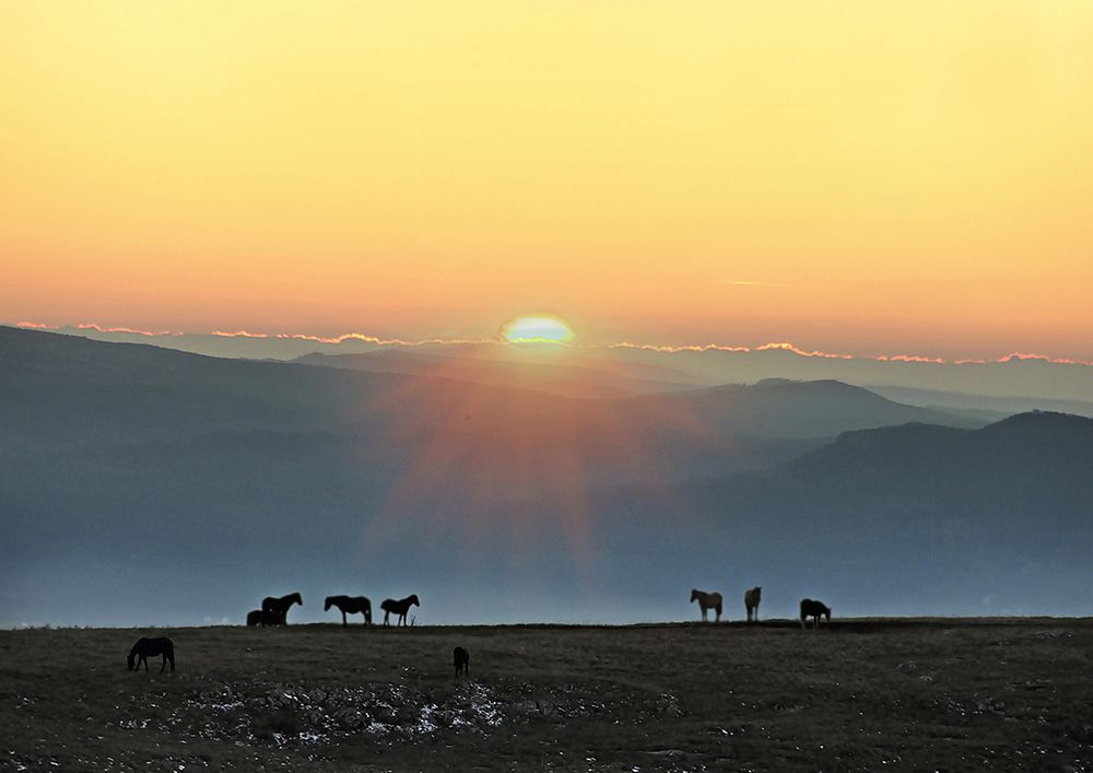Photograph by Евгений Самулев
