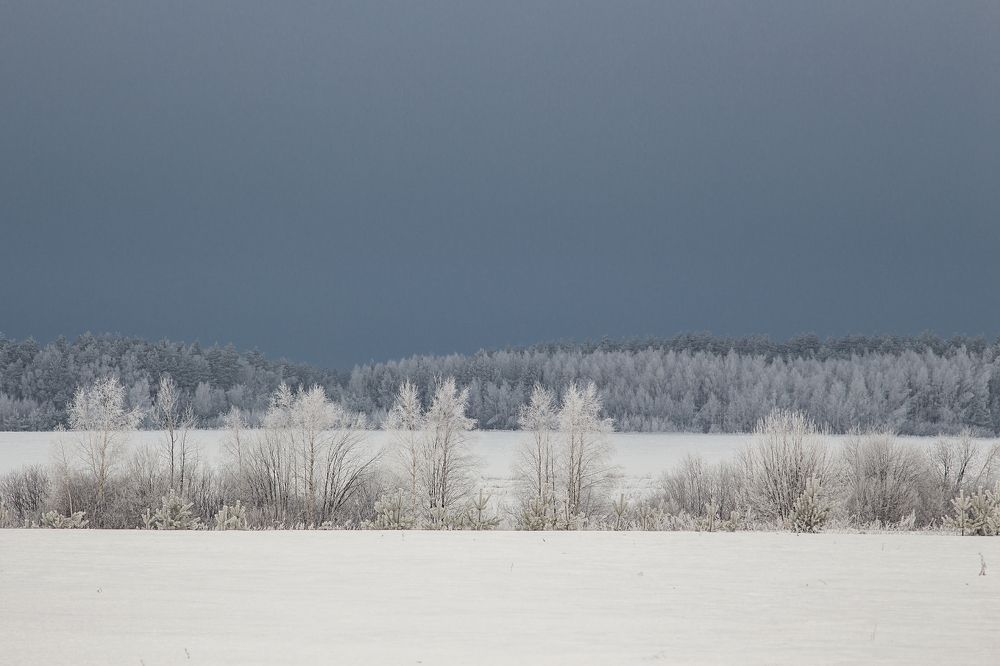 Photograph by Дмитрий Алексеев