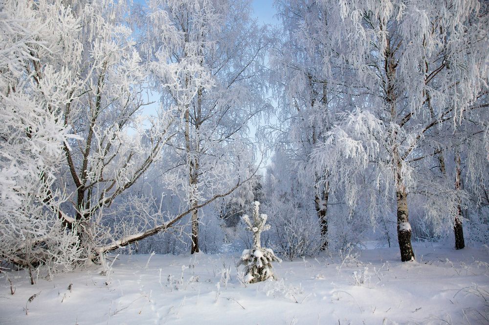 Photograph by Дмитрий Алексеев
