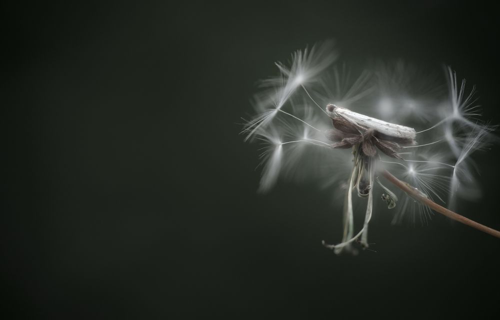 Фотография автора Panagiotis Dalagiorgos