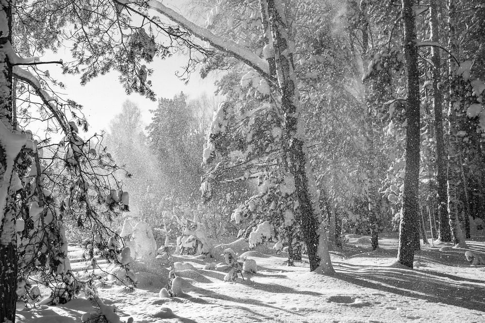 Photograph by Дмитрий Алексеев