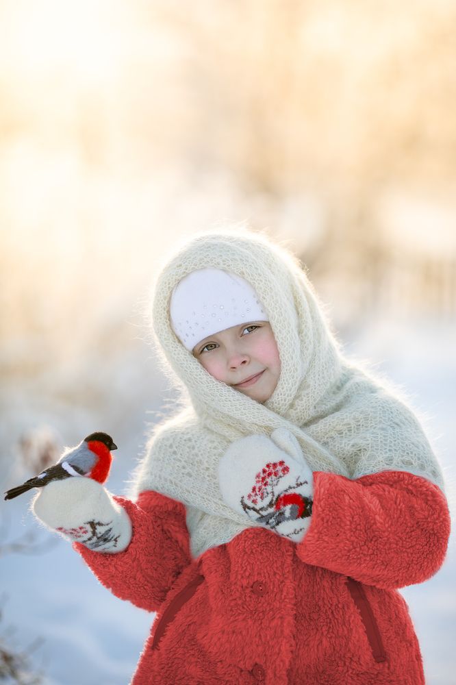 Фотография автора Софья Шарабурко