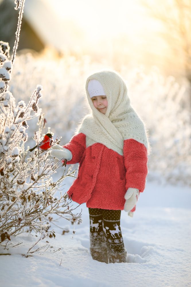 Фотография автора Софья Шарабурко