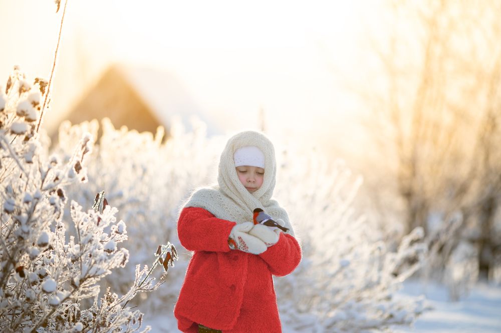 Фотография автора Софья Шарабурко