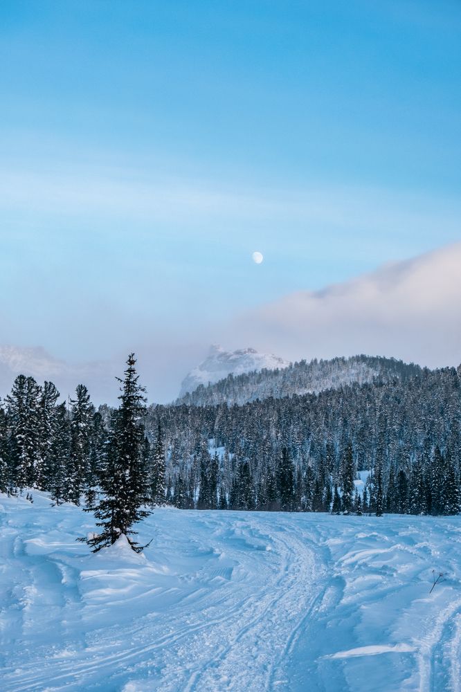 Фотография автора Дмитрий Ширнин