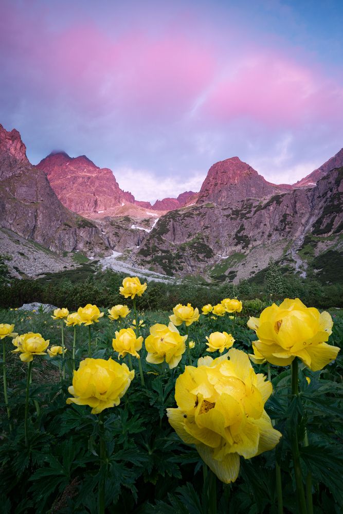 Calm mountain sunrise