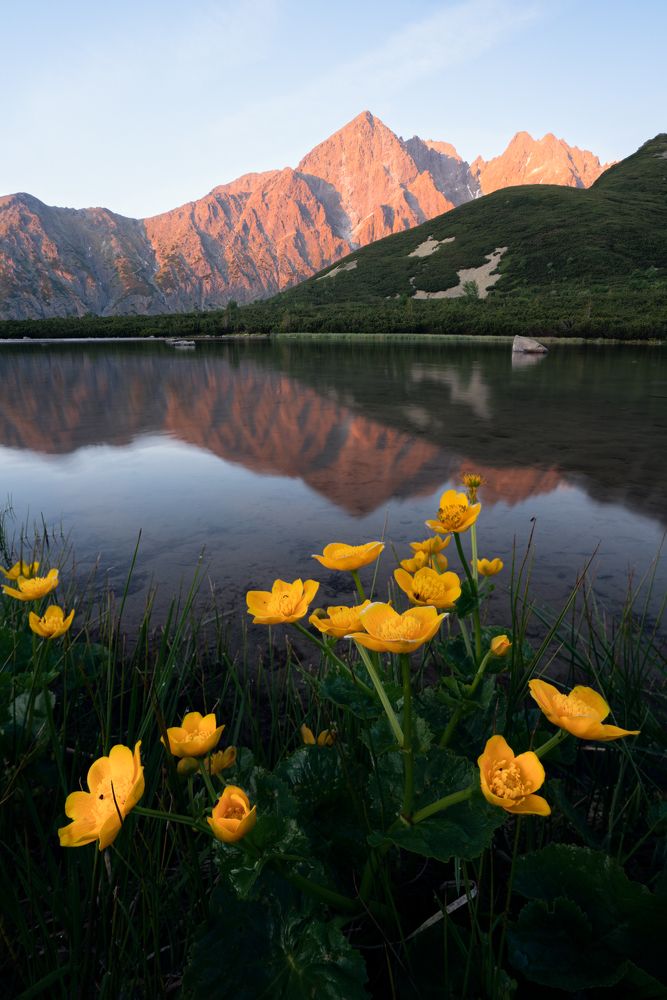 Photograph by Martin Galea