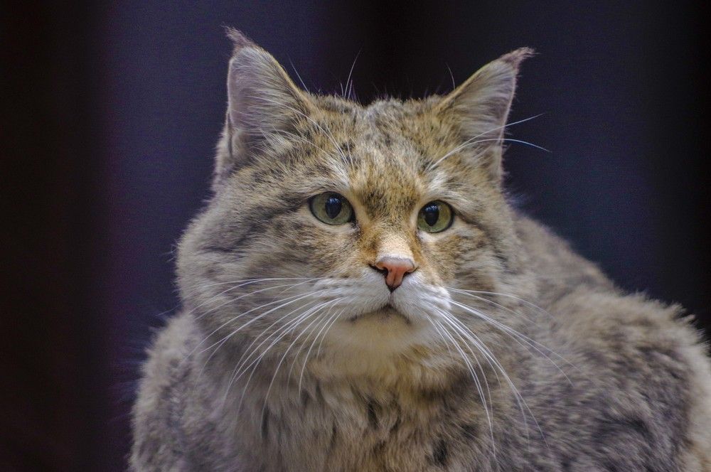 Photograph by Михаил Измайлов