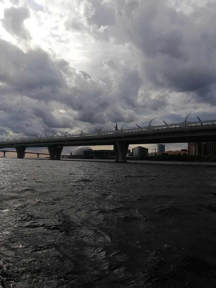 Photo #8724858