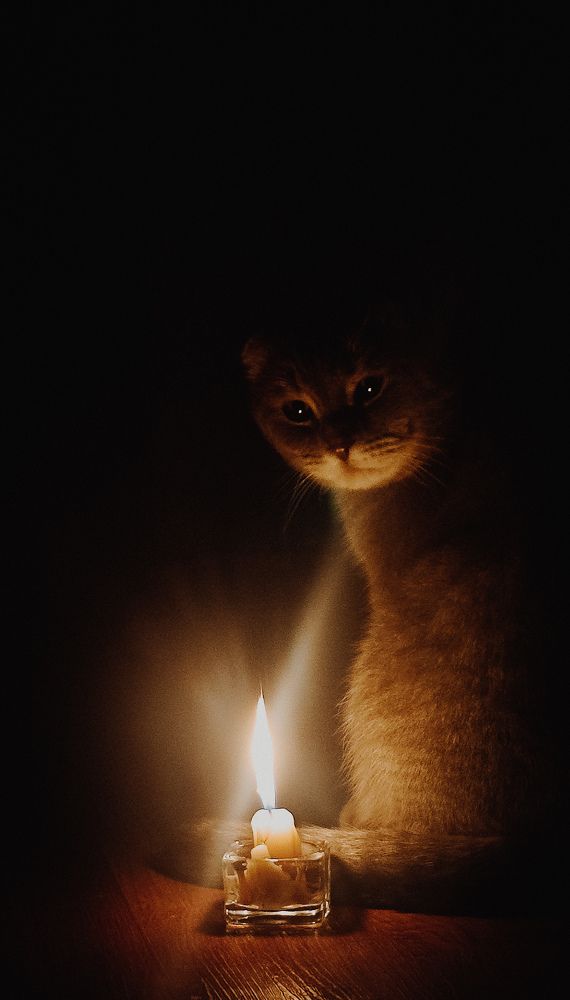 Photograph by Ирина Молчанова