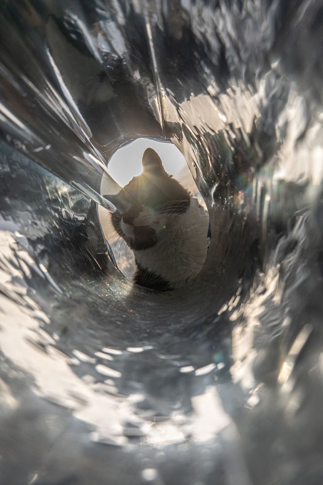 Фотография автора Марина Тирских