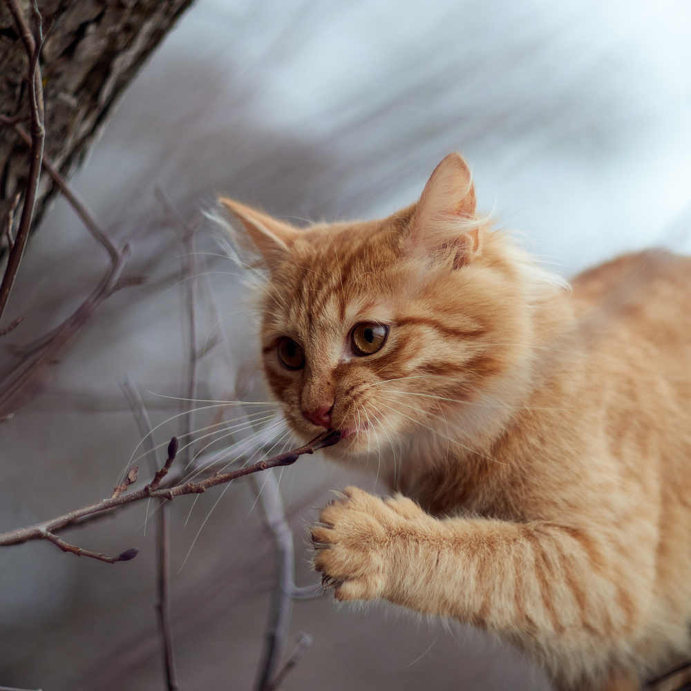 Photograph by Настя Сущева