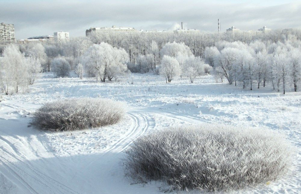Зимняя красота!