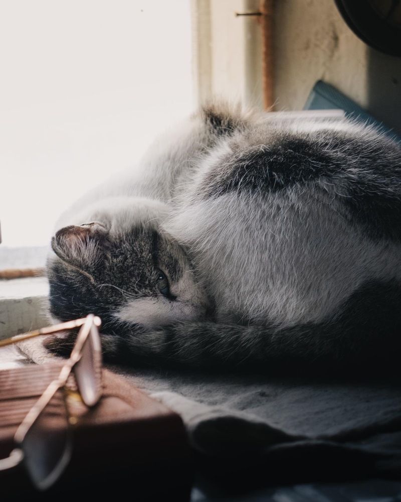 Photograph by Иван Кукса