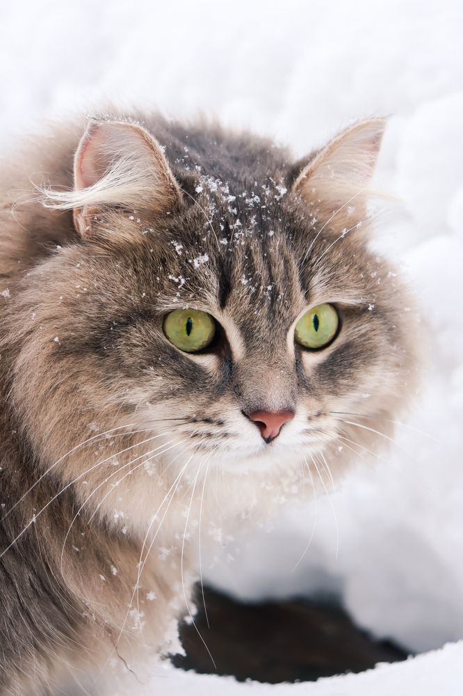 Photograph by Иван Кукса