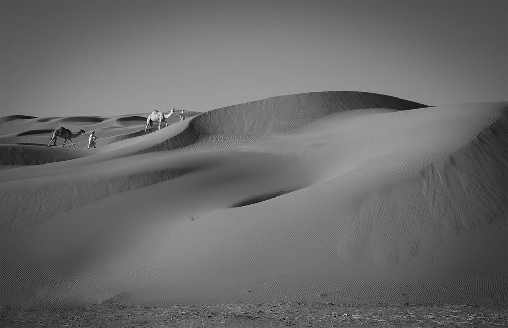 Photograph by Nemah Naji