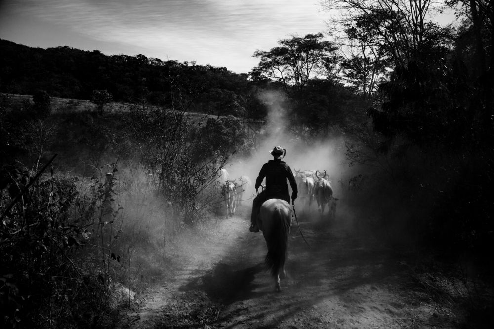 Photograph by FLAVIO SOUZA CRUZ