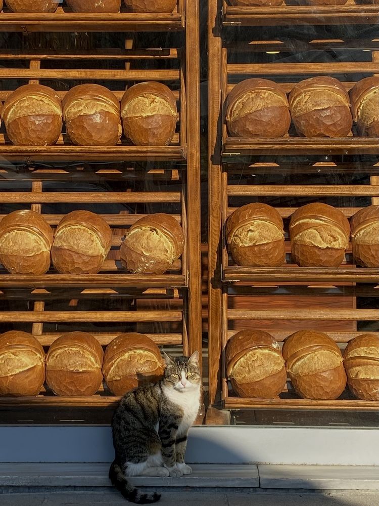 Photograph by Дарья