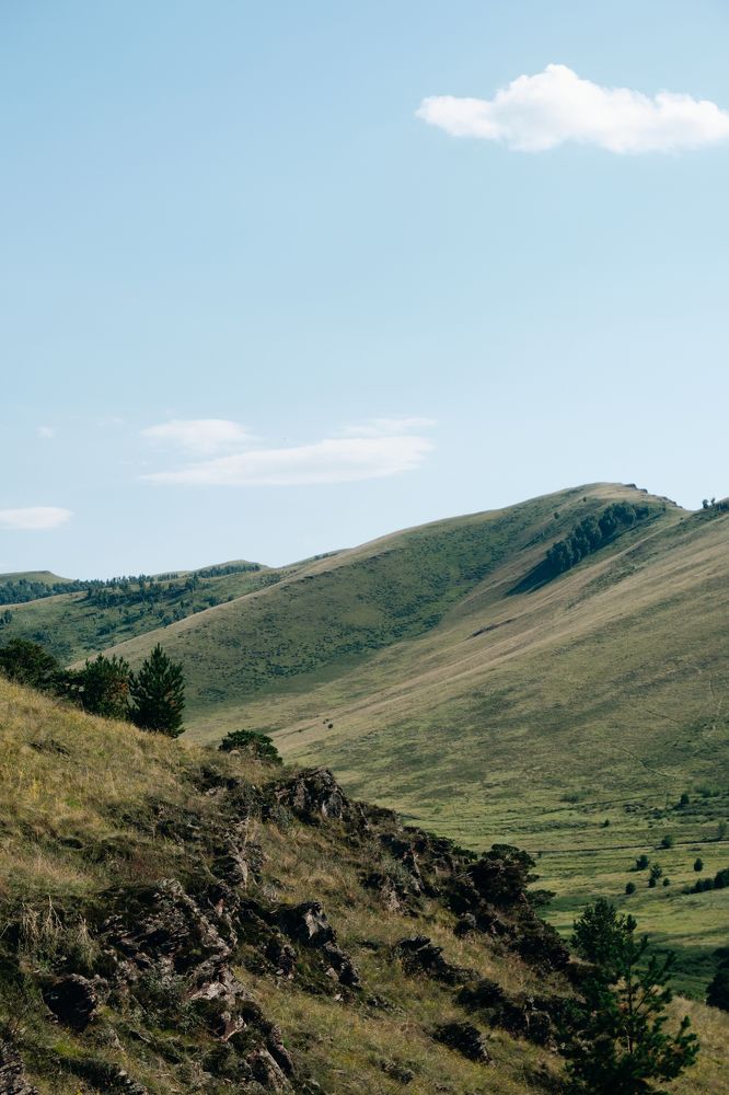 Фотография автора Дмитрий Ширнин