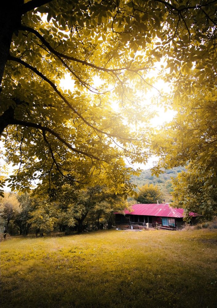 Photograph by Rastin Haghighi