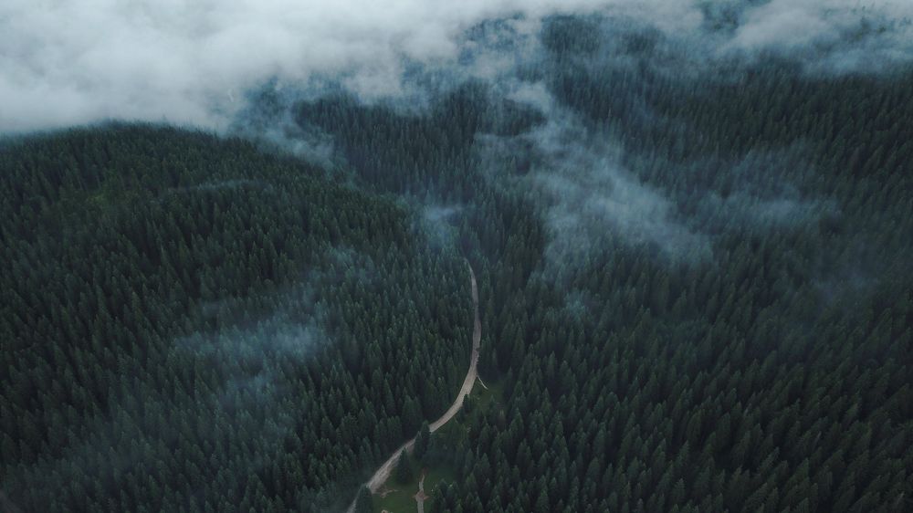 Photograph by George Alexandru Ghiuro