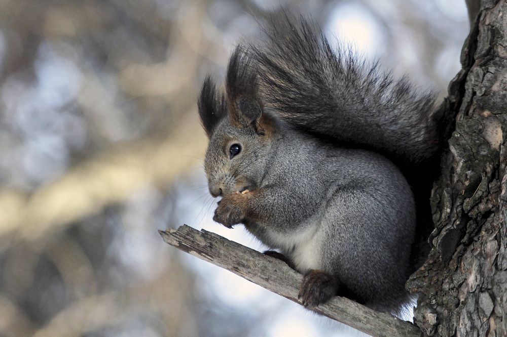 Photograph by Сергей Черных