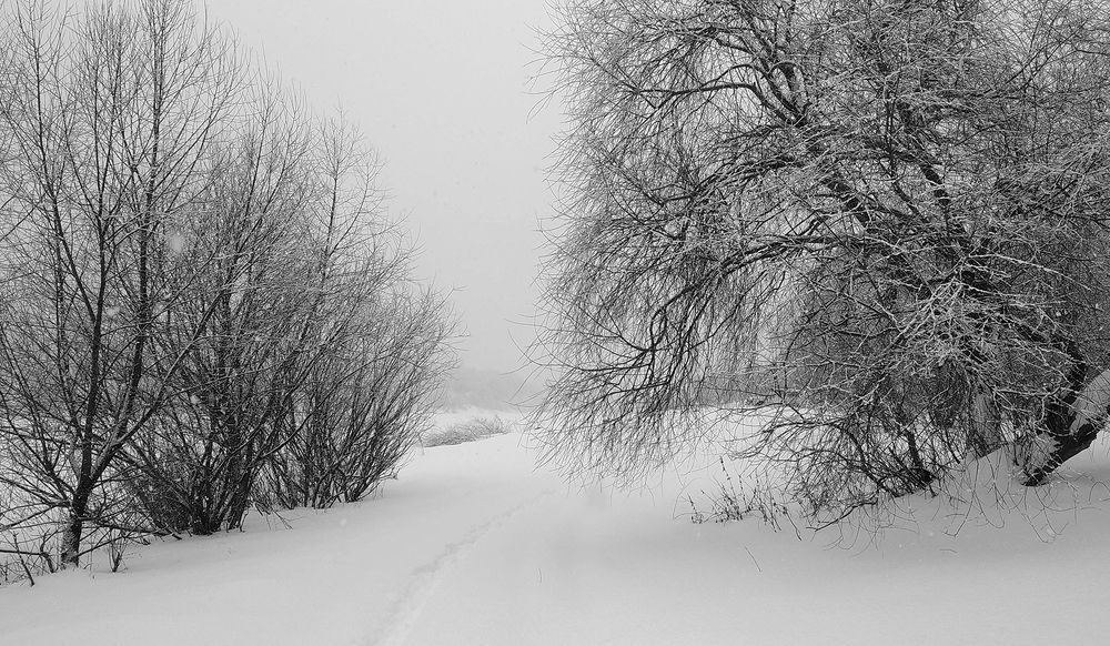 Photograph by Вячеслав Швецов