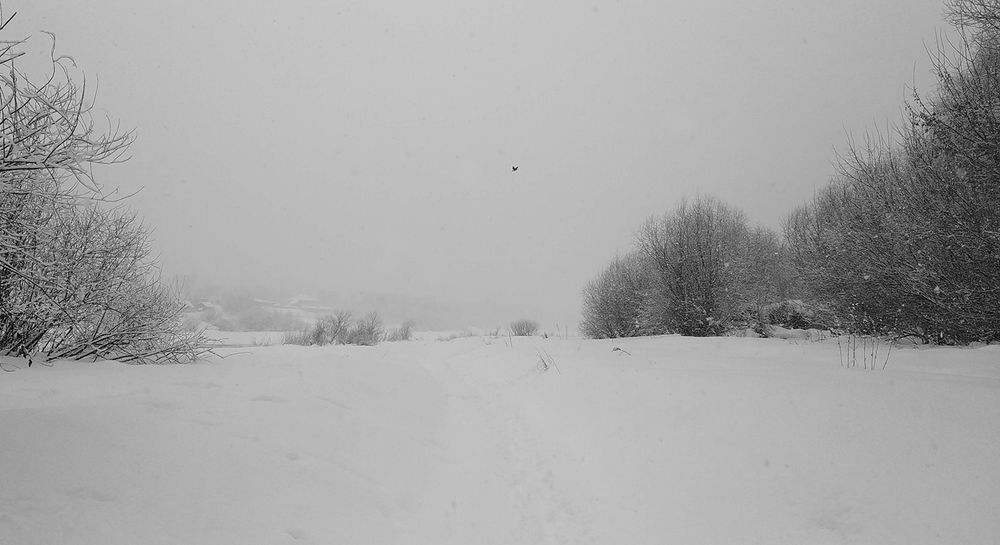 Photograph by Вячеслав Швецов