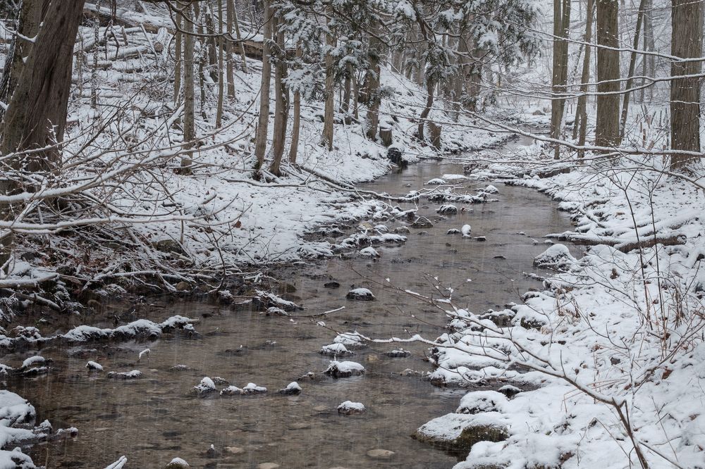 Photograph by Greg Noakes