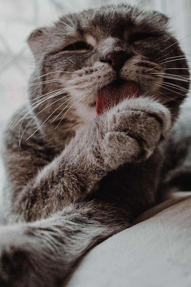 Photograph by Ирина Молчанова