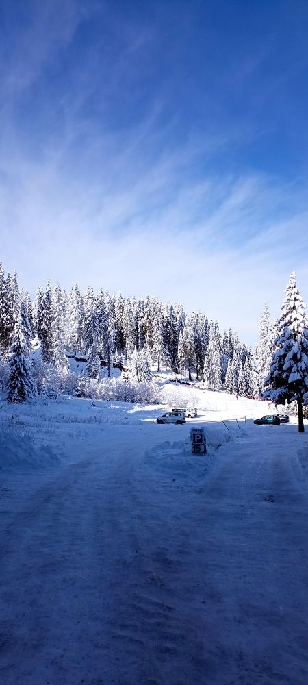 Фотография автора Ana Maria Monica Dragan