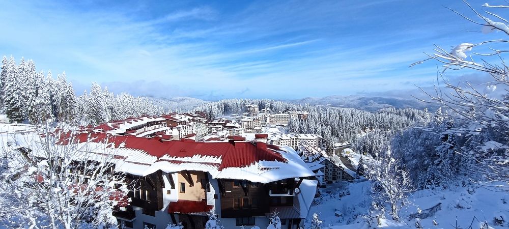 Фотография автора Ana Maria Monica Dragan