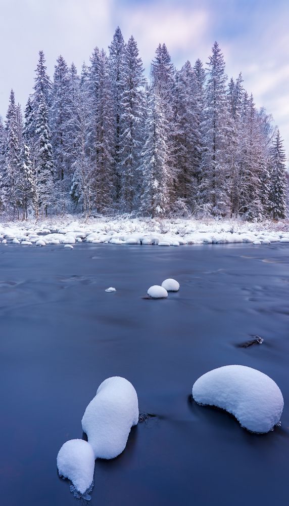 Карельские зефирки