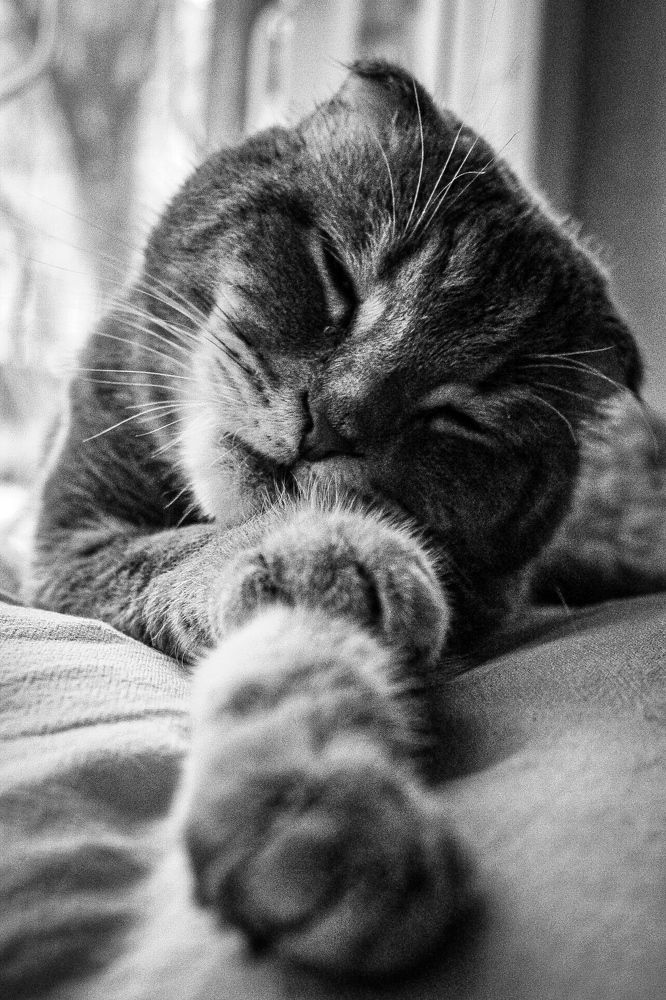 Photograph by Ирина Молчанова