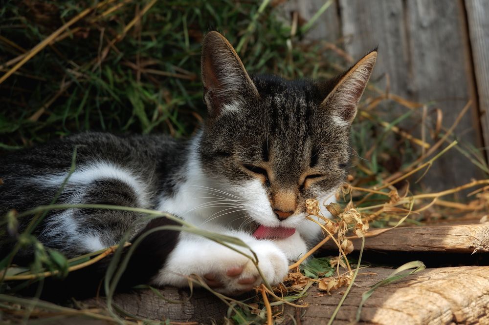 Photograph by Юлия Морозова