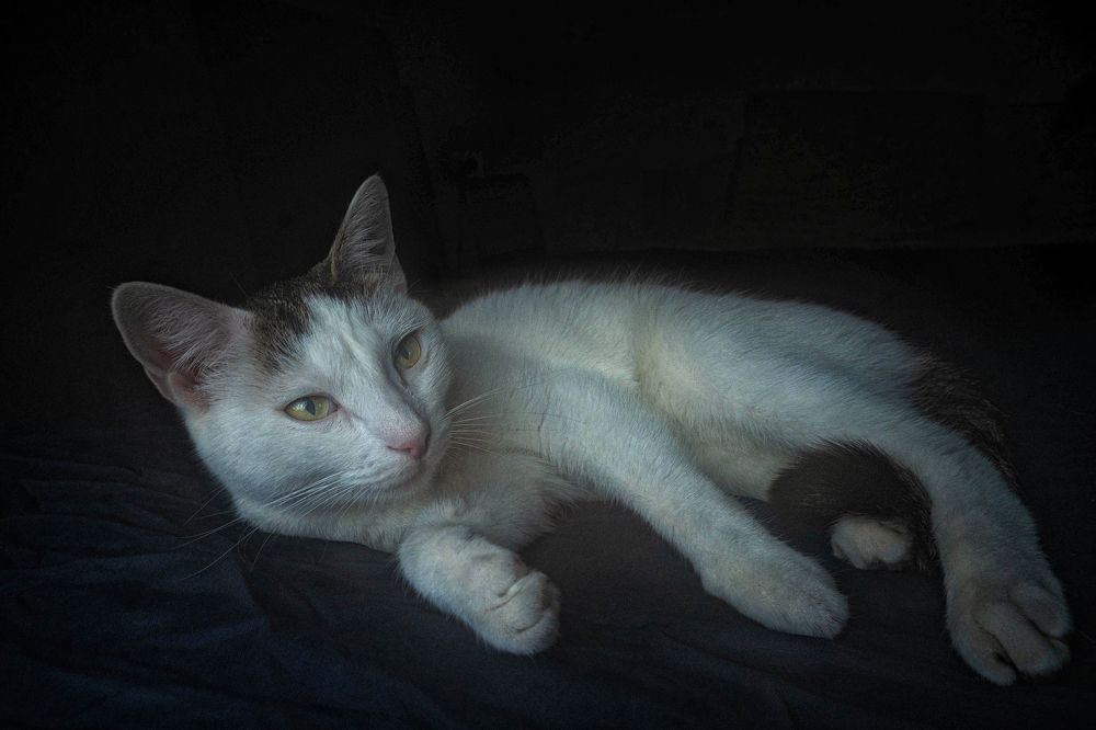 Photograph by Анжела Спиридонова