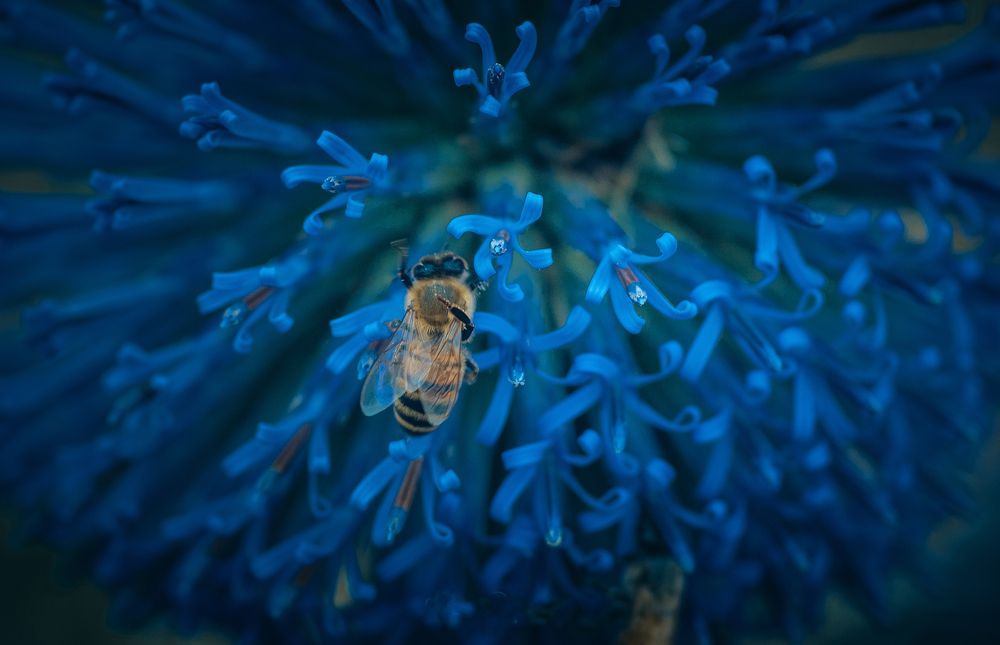 Photograph by Алекс Гейнер