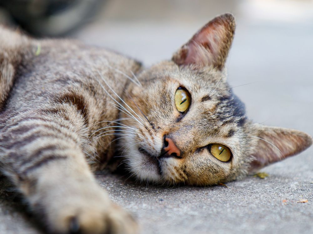 Photograph by Екатерина Слепнева